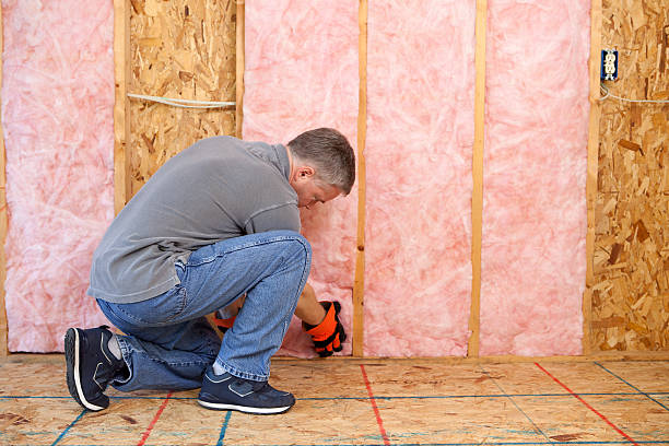 Best Basement Insulation  in Naugatuck, CT